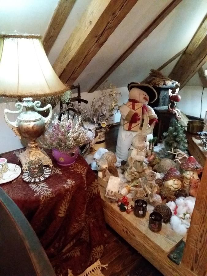 Гостевой дом Casa Cositorarului Boutique Pension Сигишоара-39